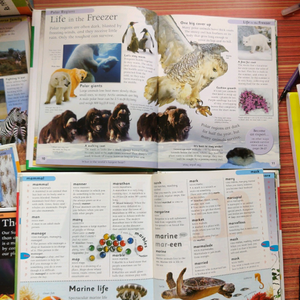 ✨Price drop✨ Young readers 5 encyclopaedia 🌸✨