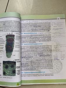 NCERT Biology Class XI Textbook