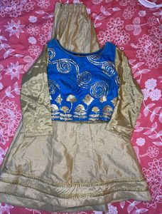 Beautiful Lehenga And Padded Choli