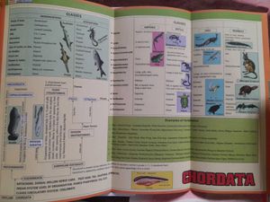 NEET UG Biology Modules of ALLEN Career Institute