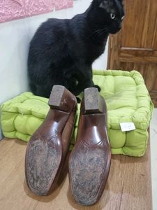 Formal Catwalk Brown Kitten Heels