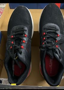 Campus Shoes