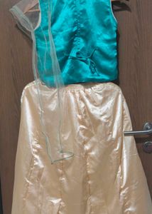 Sea Green Ghagra Choli
