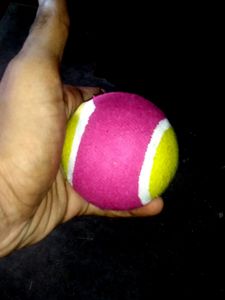 Cricket Tennis Ball (Pack Of 2)