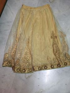 Lehenga Skirt With Jari Work On Net