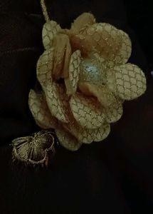 Gold Tinted Brown Gown