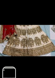 Elegant Lehenga Choli Set