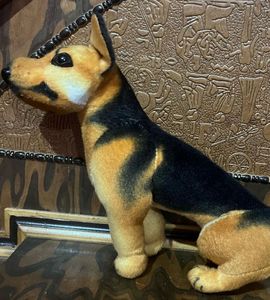 Dog , Soft Toy  For Kid