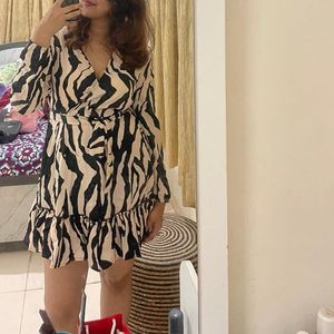 Animal Print Fit And Flare Dress