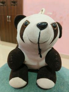 Cute panda