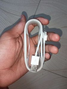 Orginal Apple Usb To 30Pin Connector.