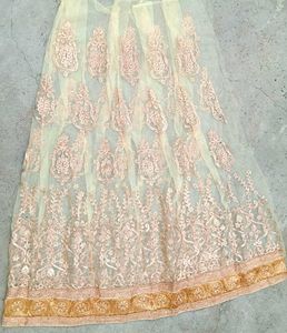 Embroidered Ethnic Lehnga Base