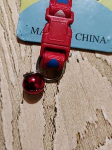 Cat Belt With 1 Kg Freebies