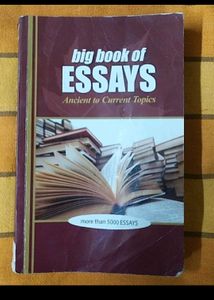 Combo Of The Big Book Essay And Hidden hindu Prt-3