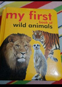 7 Books