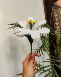 LILY FLOWER