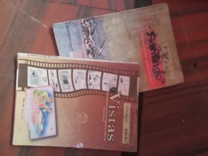Class 12 English( Vistas And Flamingo) Book