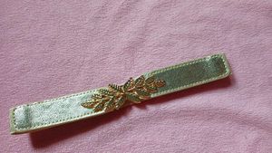 Golden Sleek Belt