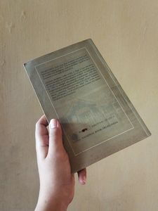 Divasapna By Gijubhai Badheka True Translated Nove
