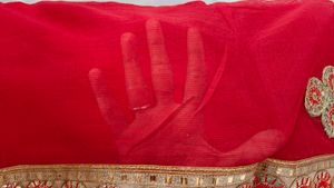 Red Embellished  Saree