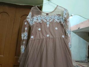Elegant Ethnic Gown