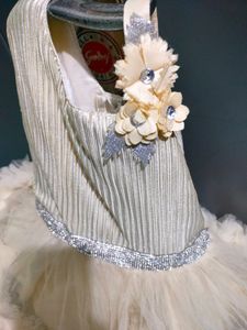 Beautiful Gown