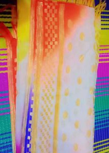 Colorful Indian Duptta