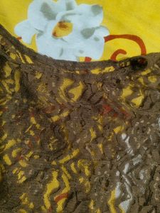 Lace Sheer Crop Top In Brow Colour