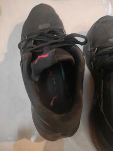 Uk 8 Size Puma Shoes For Men