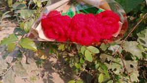 Crochet Rose Bouquet