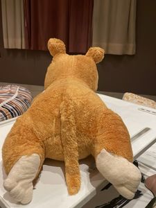 Kawaii Bear-Hat Dog Plush Headpiece