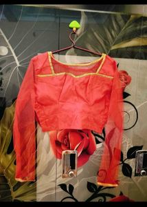 Unused New Blouse