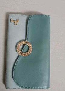Cyan baggit Clutch