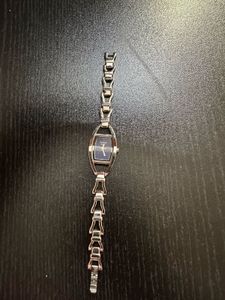 Titan Raga Ladies Watch
