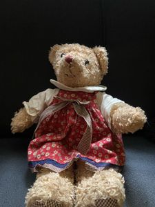 Mini lil teddy with dress
