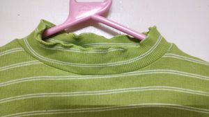 Korean Crop Top