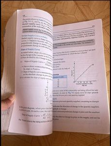 Introductory Micro Economics