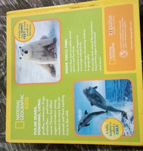 Little Kids First Big Book of Animals