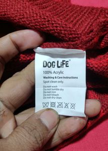 LED Light Dog Winter Jecket