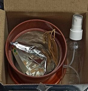 Tulsi Growing Kit