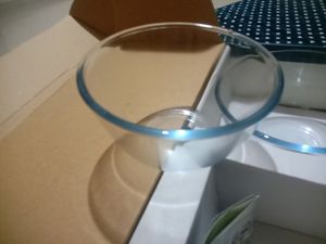 New Borosil Glass Bowl.