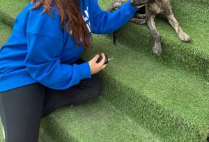 Blue 'Absolut Cutie' Hoodie