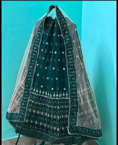 Emerald Green Lehenga Choli✨