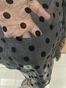 Zara Polka Dot Organza Sheer Top With inner