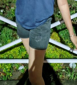 Women Denim Shorts