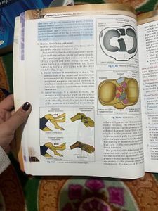 Manipal Manual of Anatomy