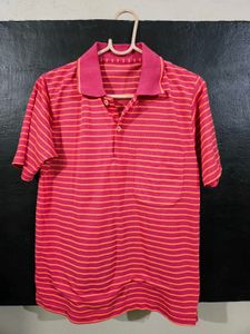 Women's Striped Polo T-Shirt – Half Sleeve