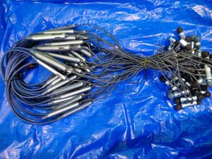 Zebronics 60 Pics Blutooth Neckband