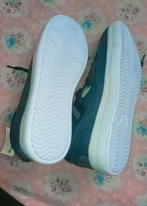 Duke . Footwear Grey Colour