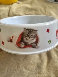 Pet Food Bowl x 1